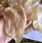 月经来了可不可以吃鱼胶()
